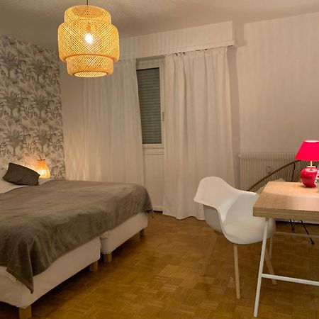 Appartement Centre-Ville Colmar Dış mekan fotoğraf